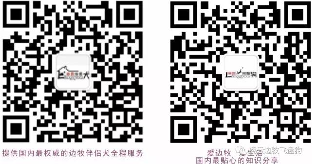 二维码10.jpg